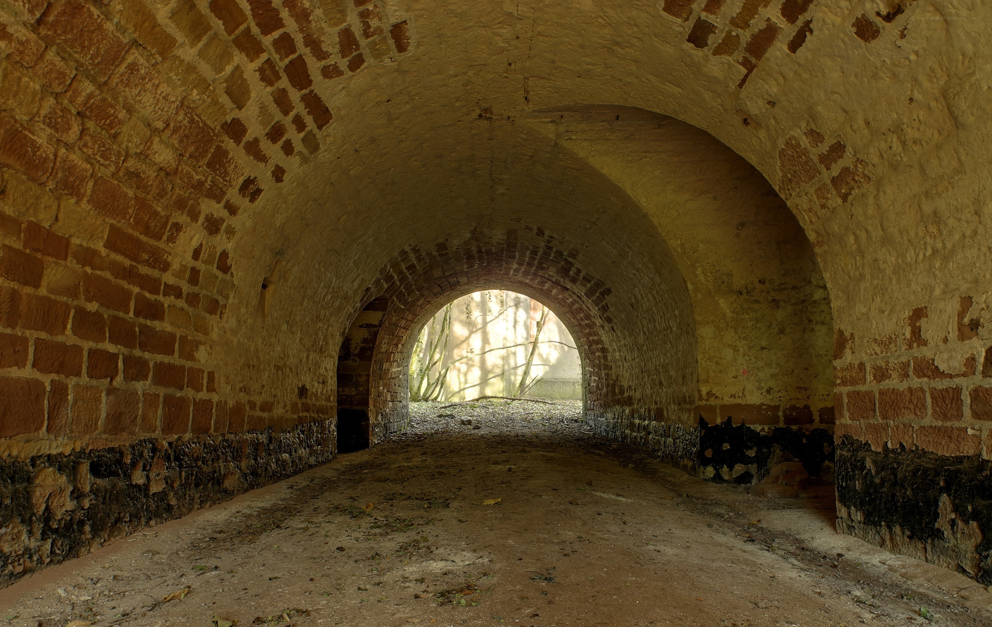 Brick tunnel leading to forest