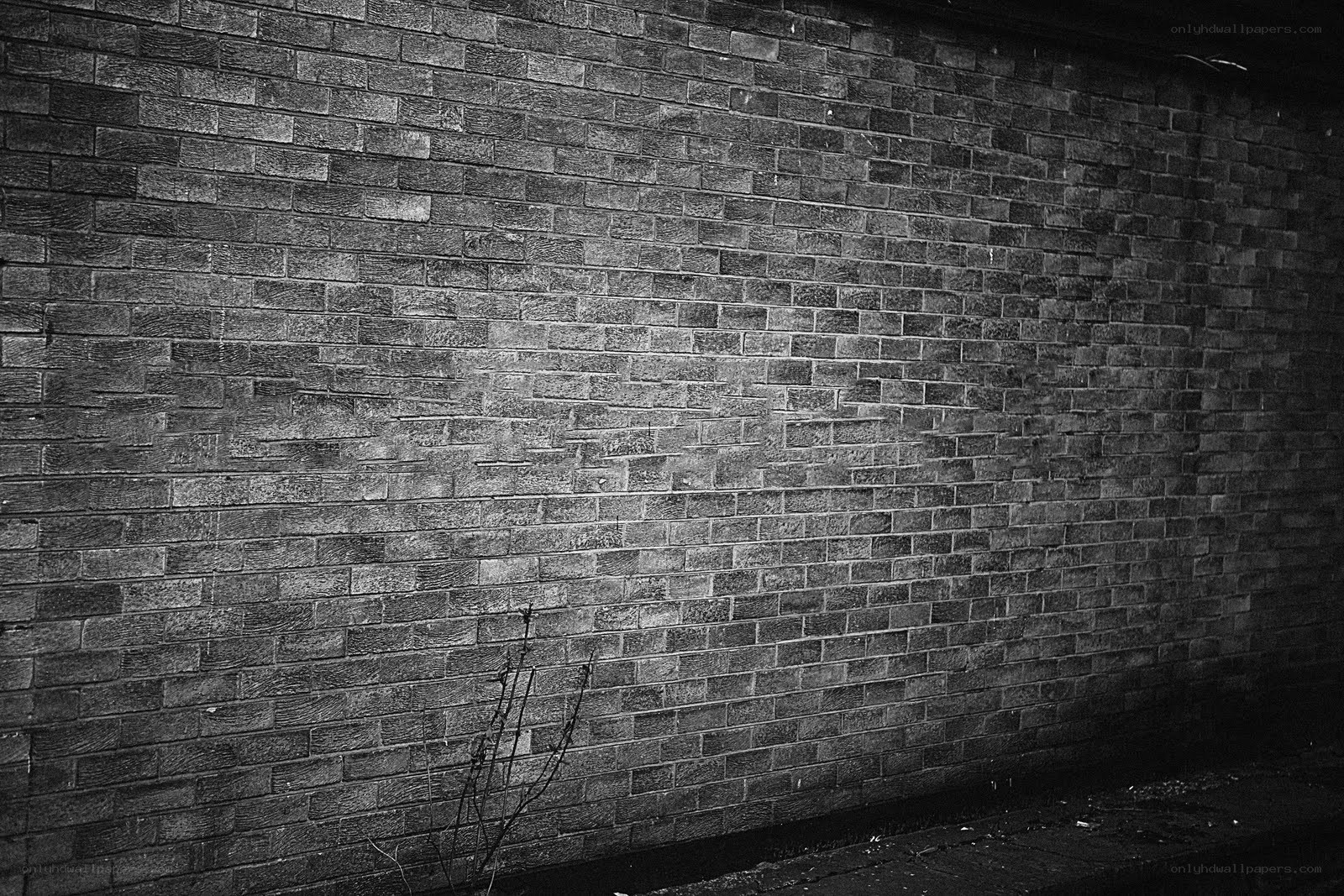 brick wall in alley