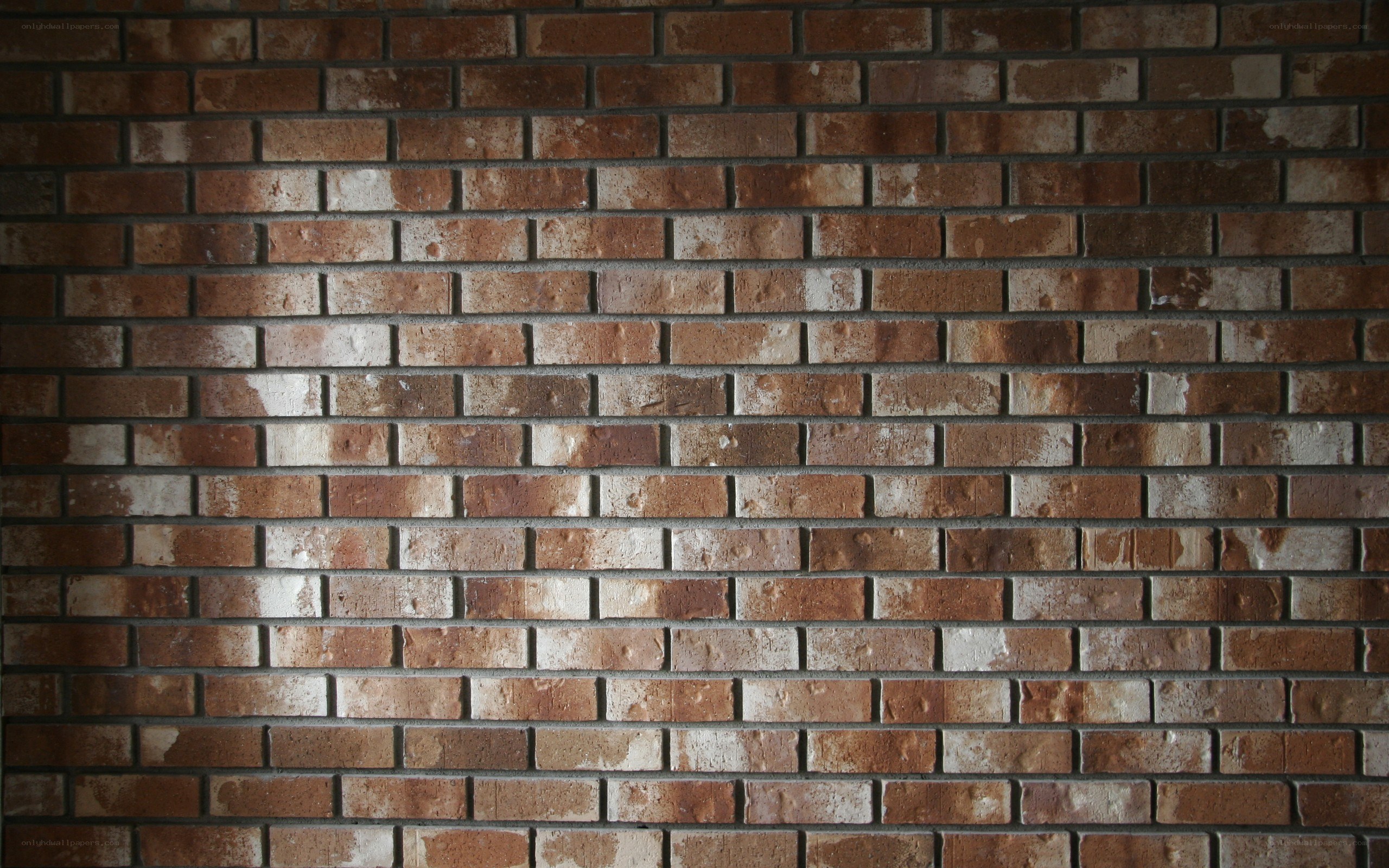 brick wall texture