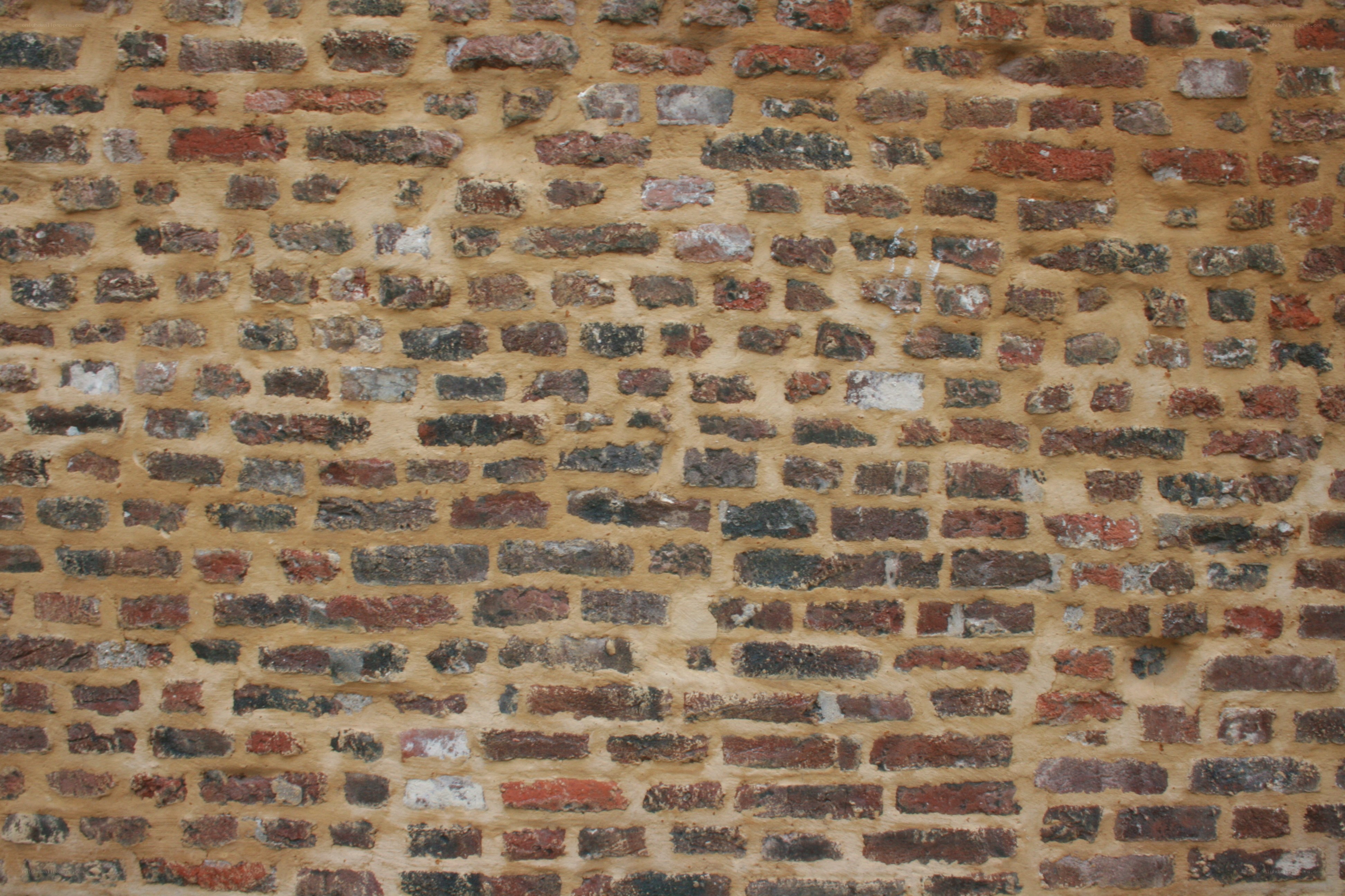 brick wall texture