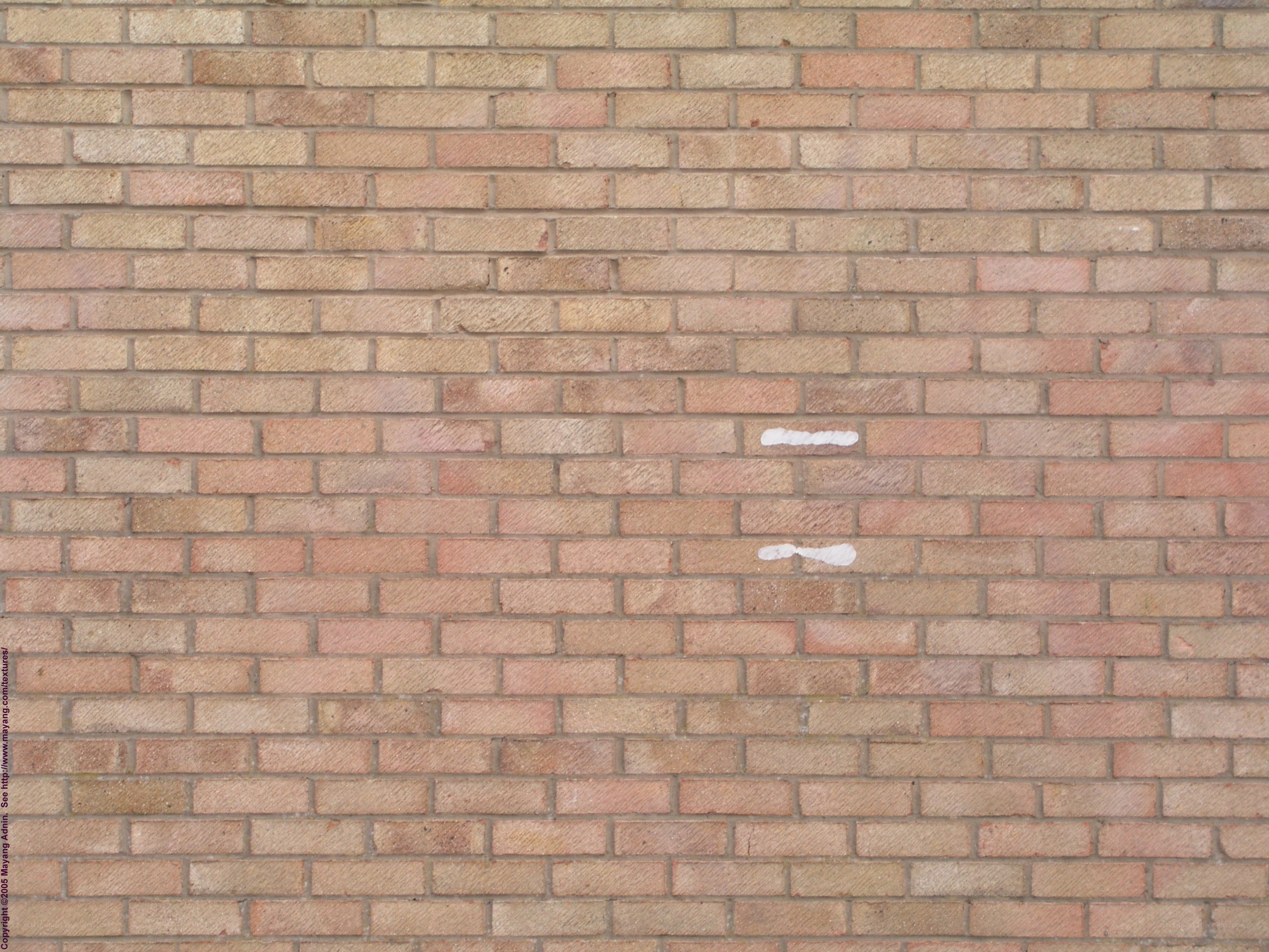 brick wall texture