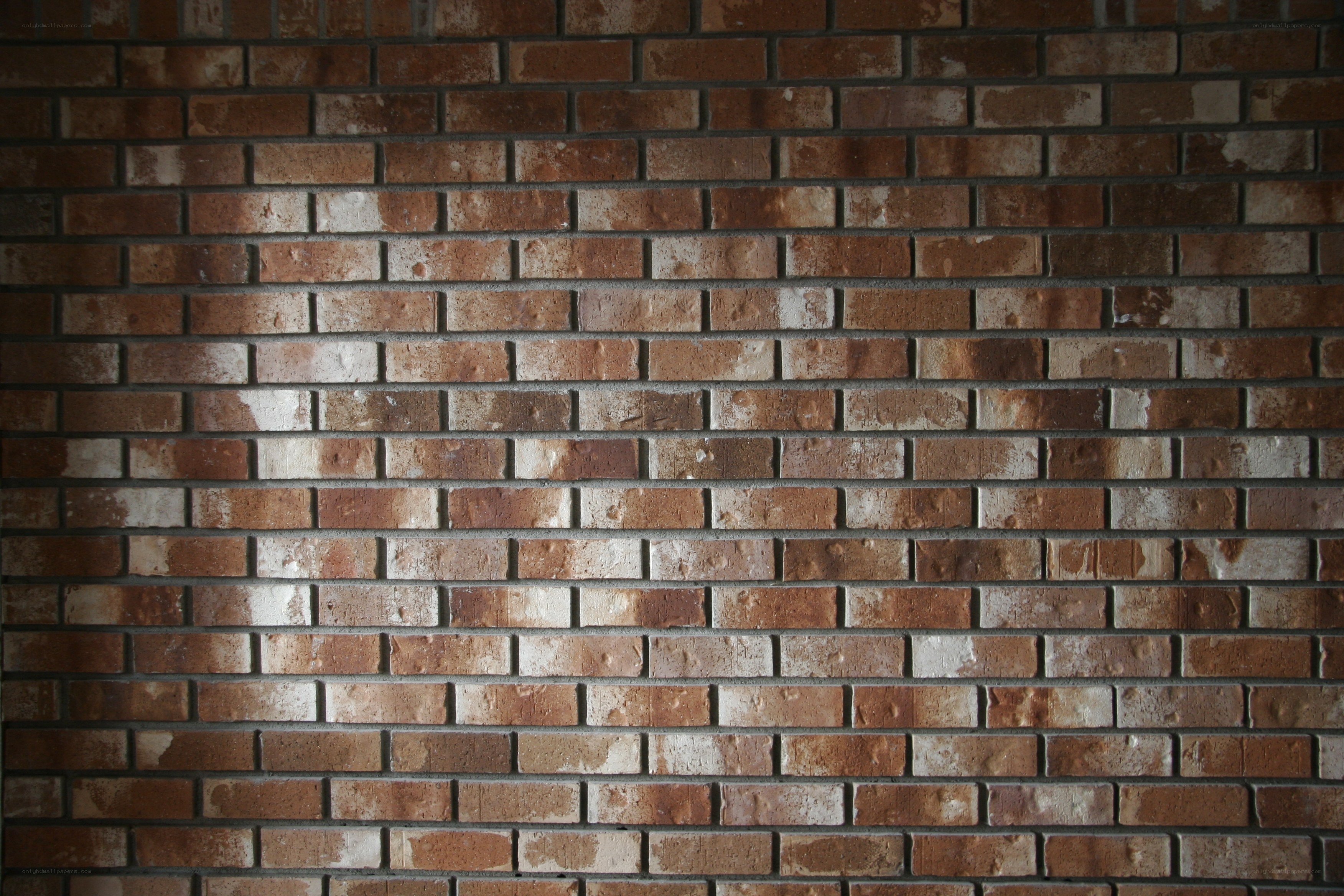 brick wall texture
