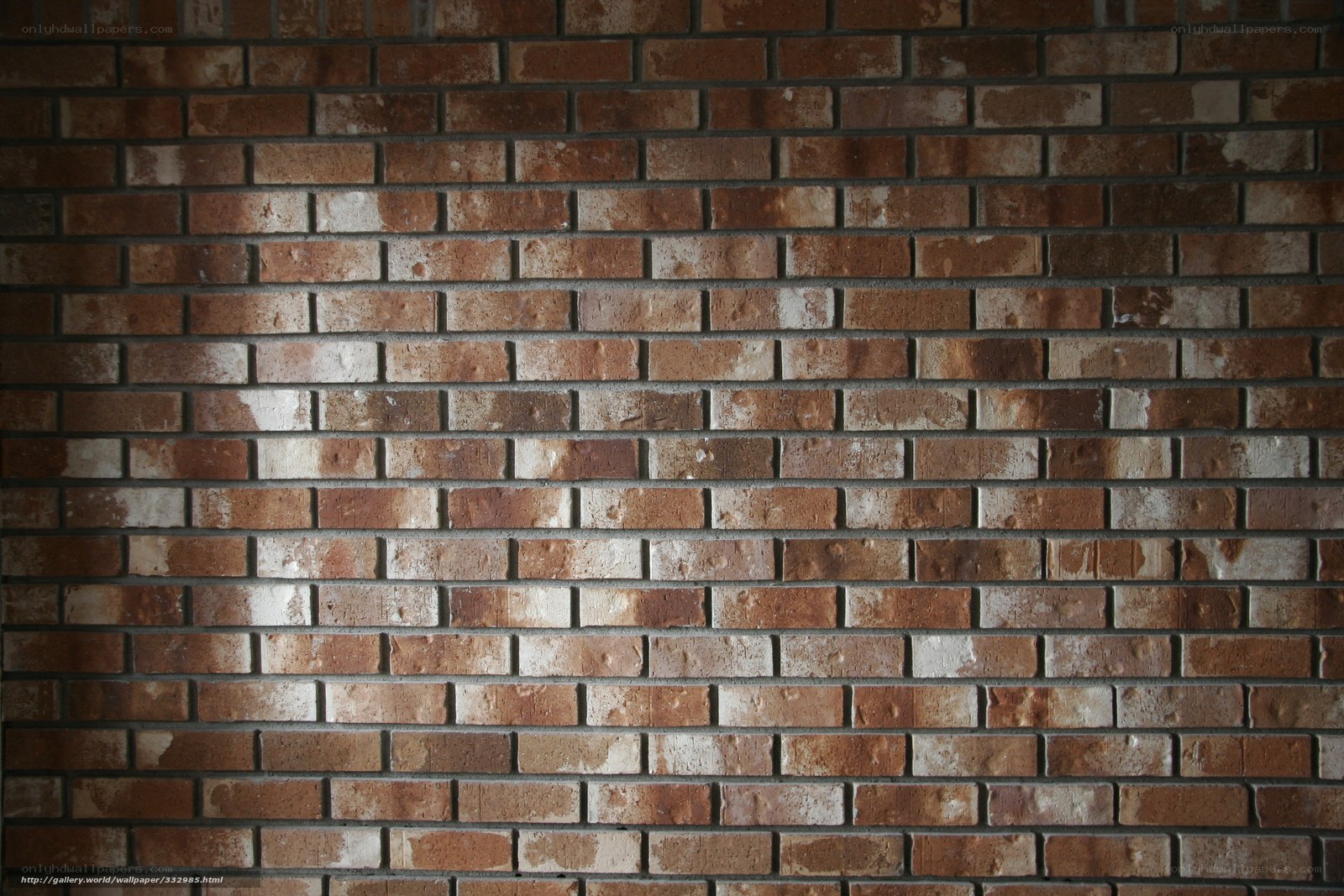 Brick wall texture