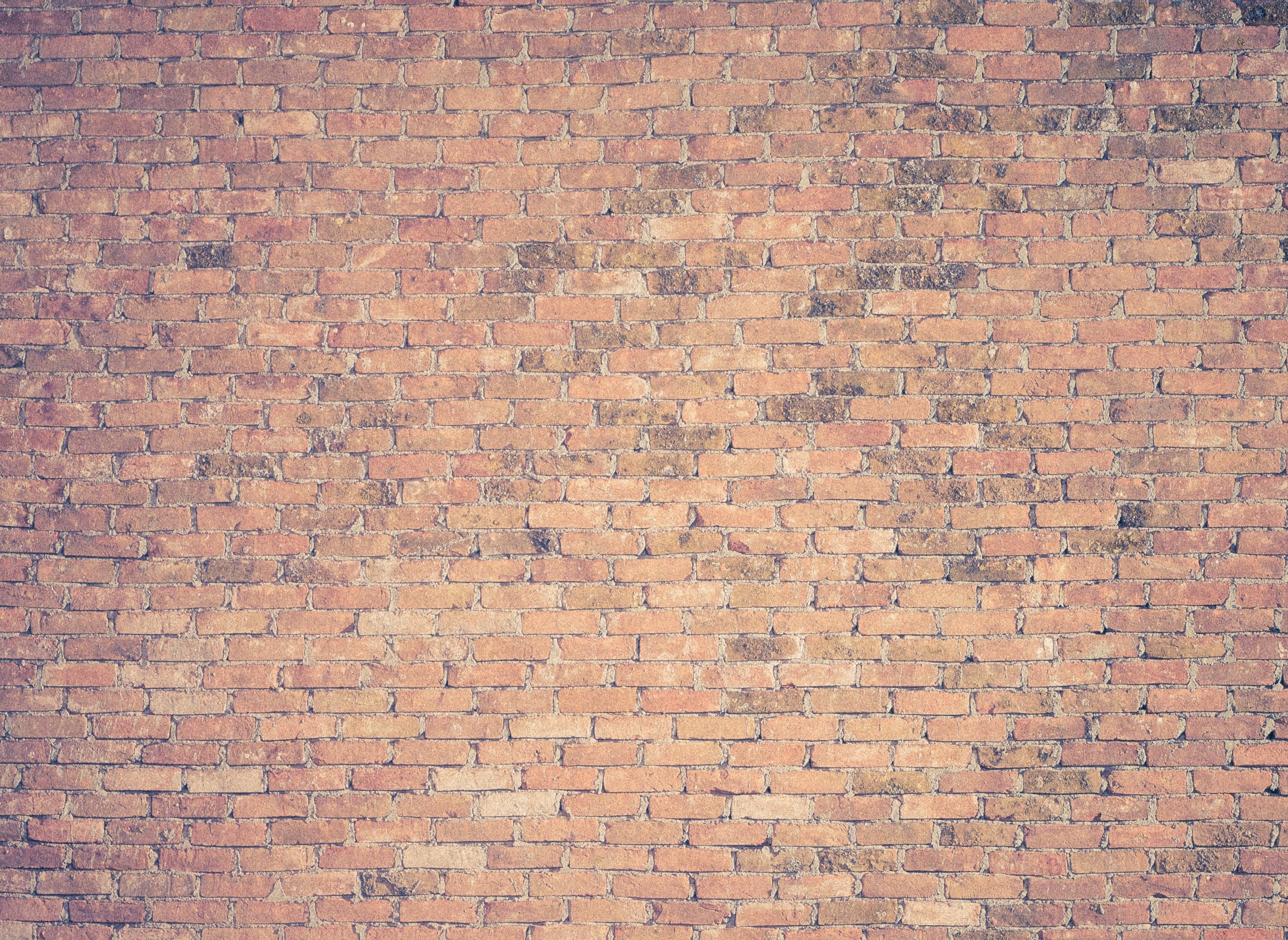 brick wall texture