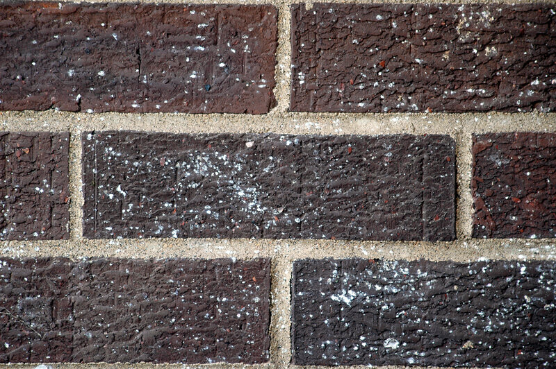 Brick Wall Texture — White