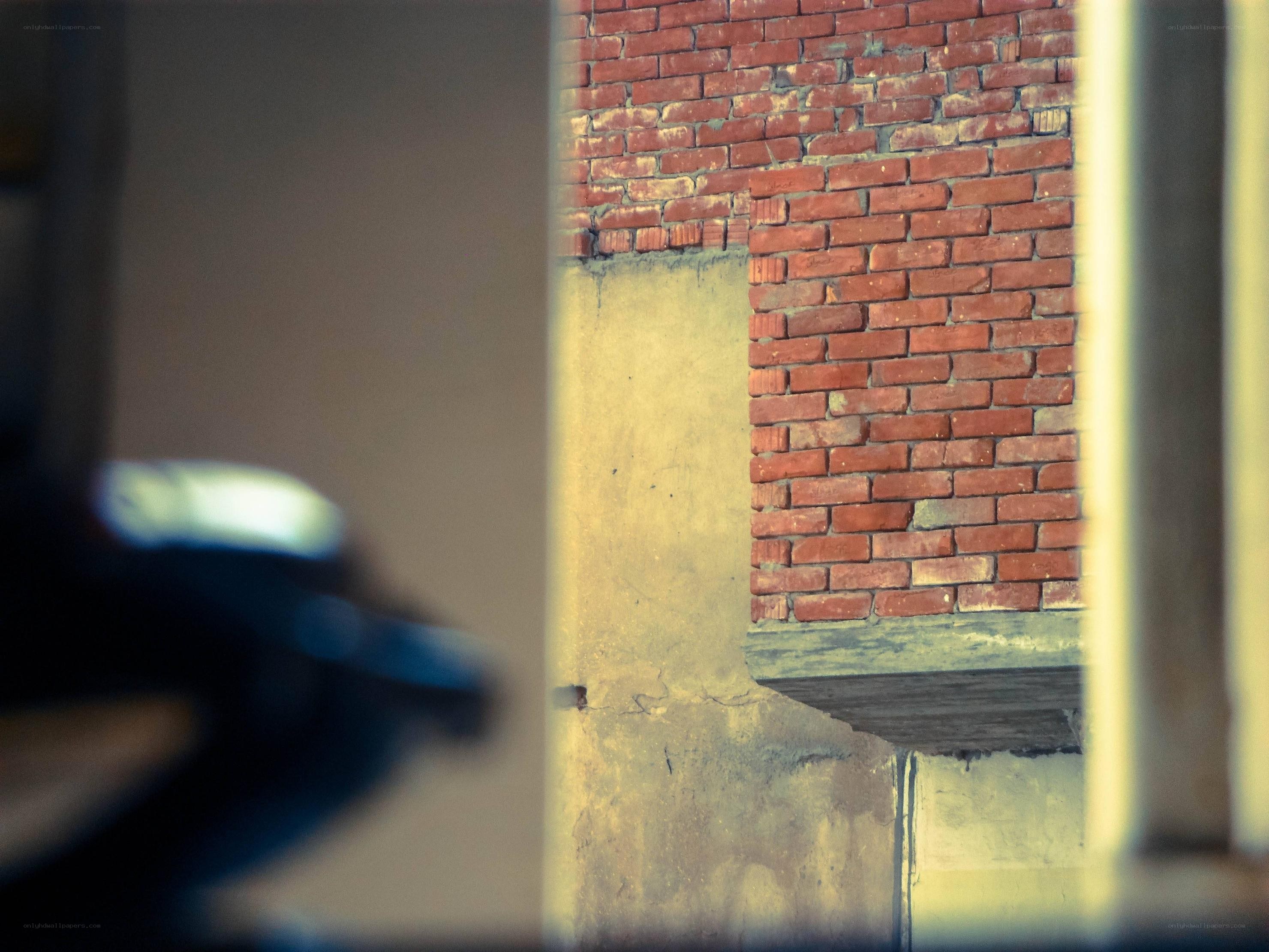 Brick wall through a window