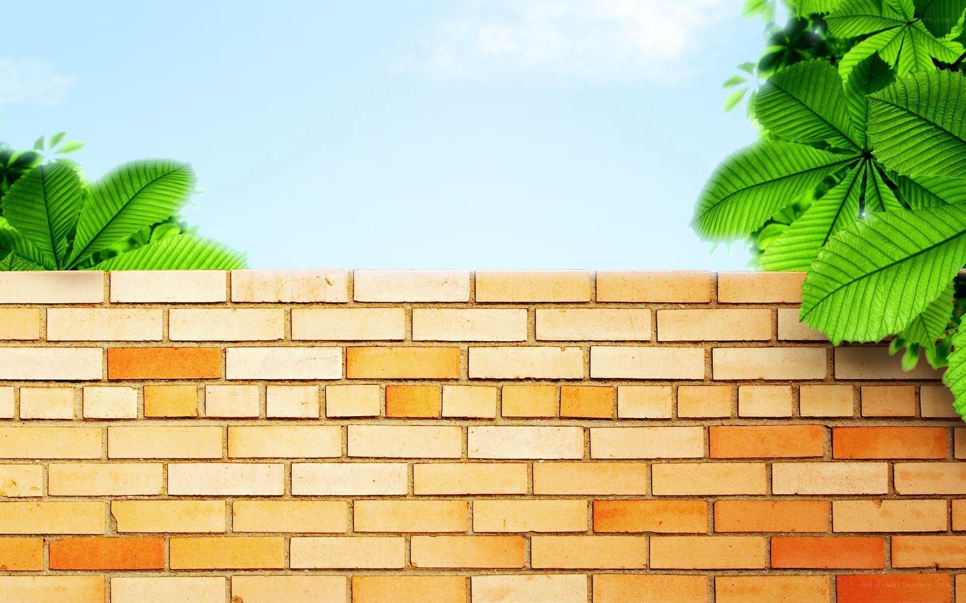 brick wall with green leaves
