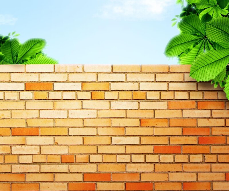 brick wall with green leaves