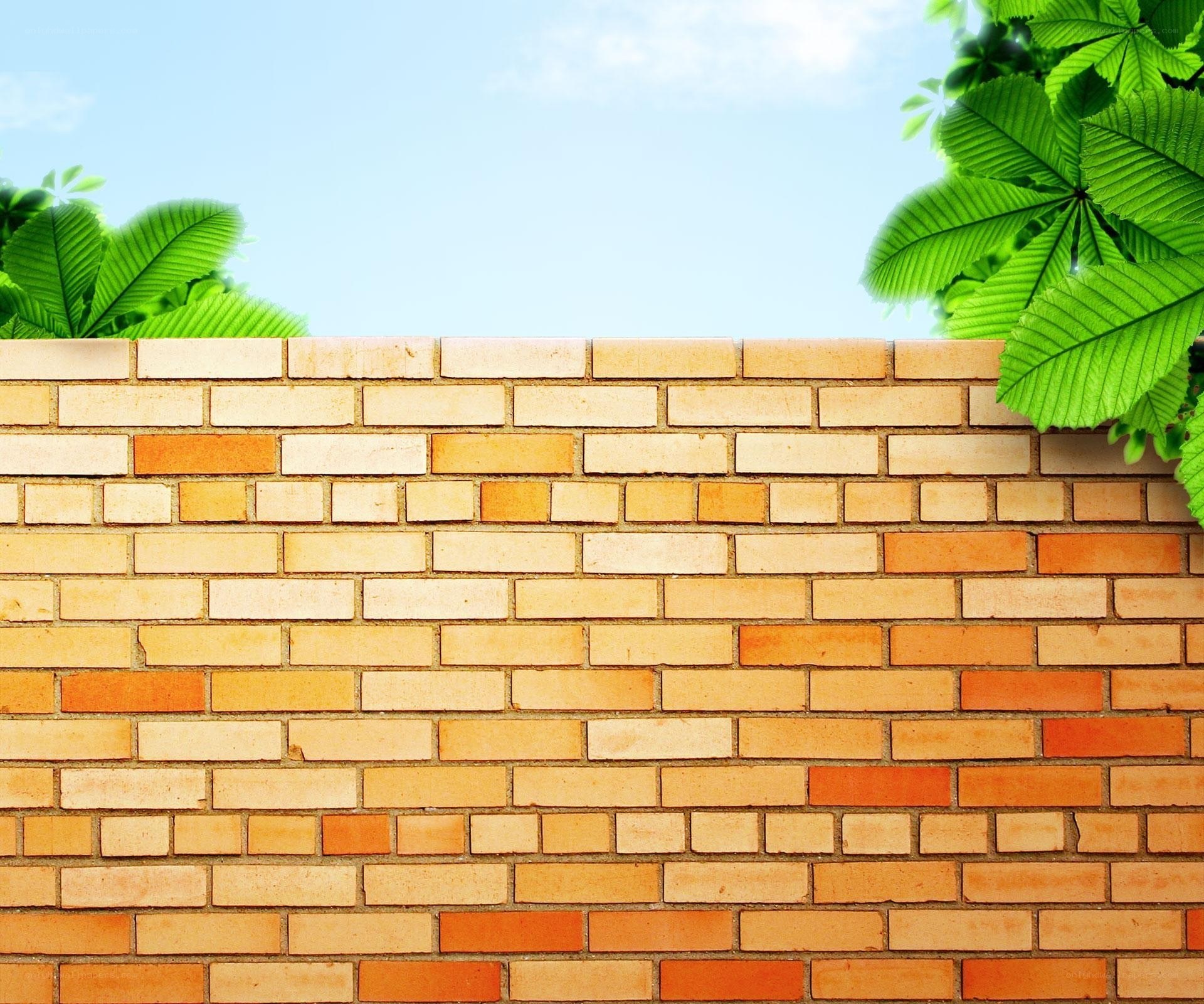 brick wall with green leaves