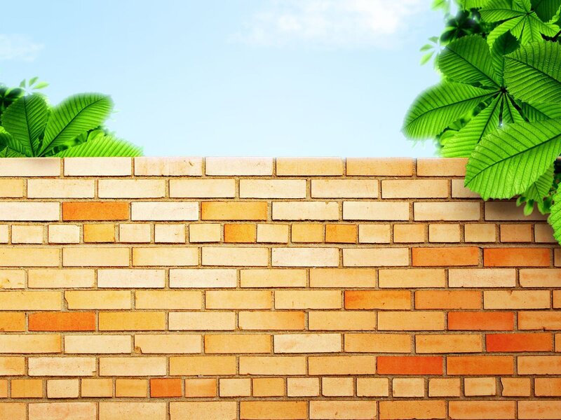 Brick Wall with Green Leaves — Brown