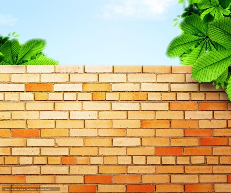 Brick wall with green leaves