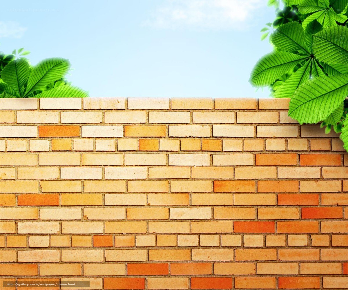 Brick wall with green leaves