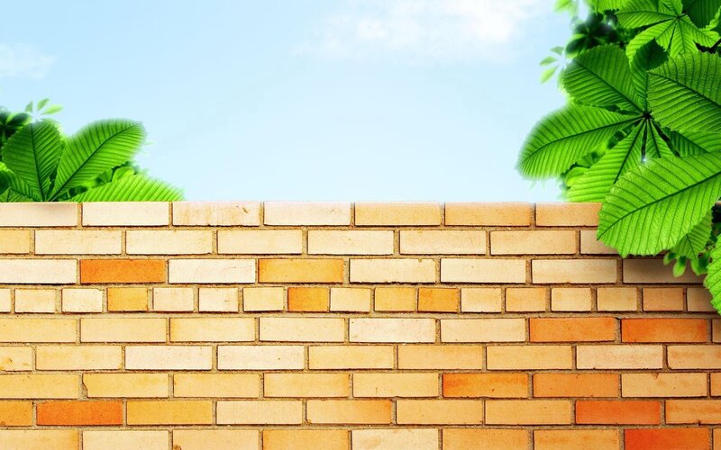 Brick Wall with Leaves