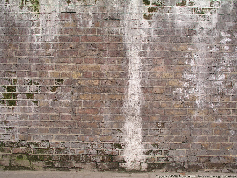 Brick Wall with Moss
