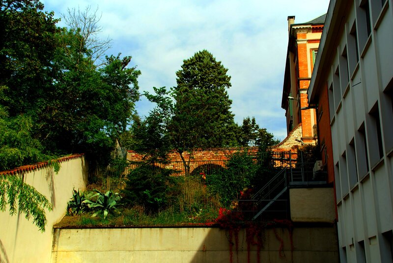 Brick Wall with Trees