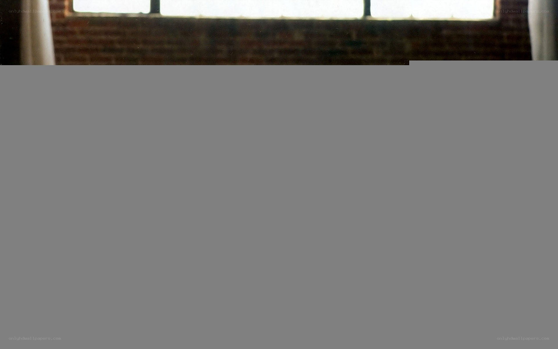 brick wall with window