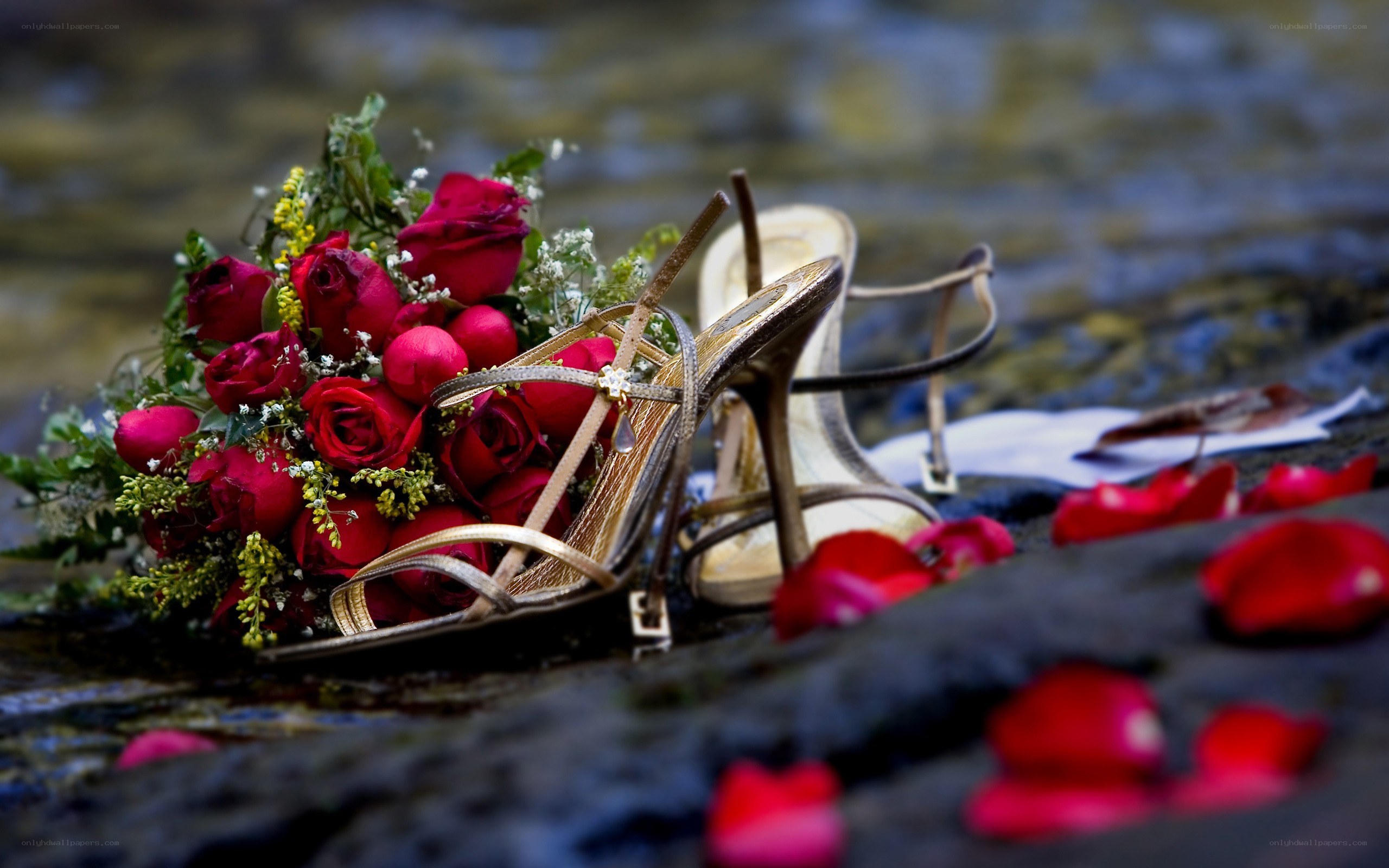 Bridal bouquet and shoes