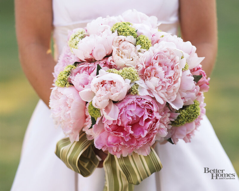 Bridal Bouquet of Peonies