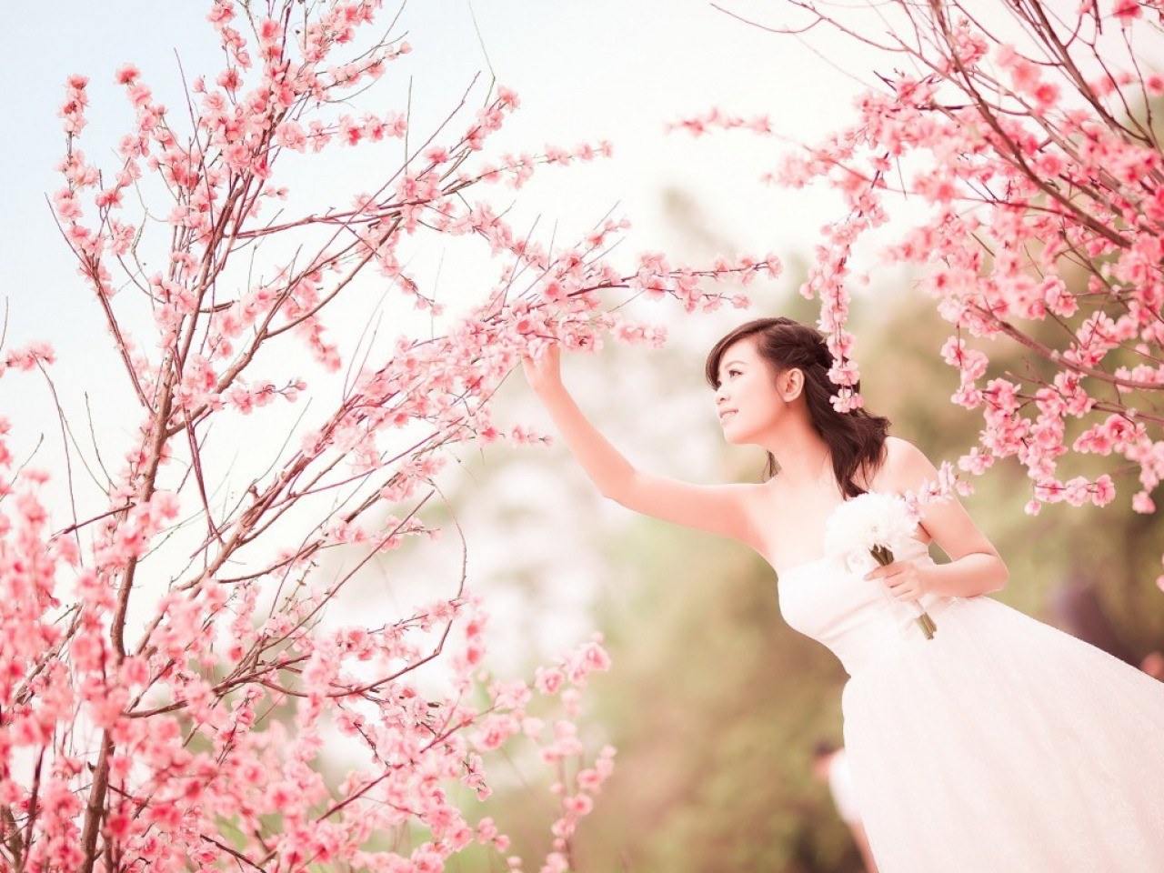 Bride among cherry blossoms