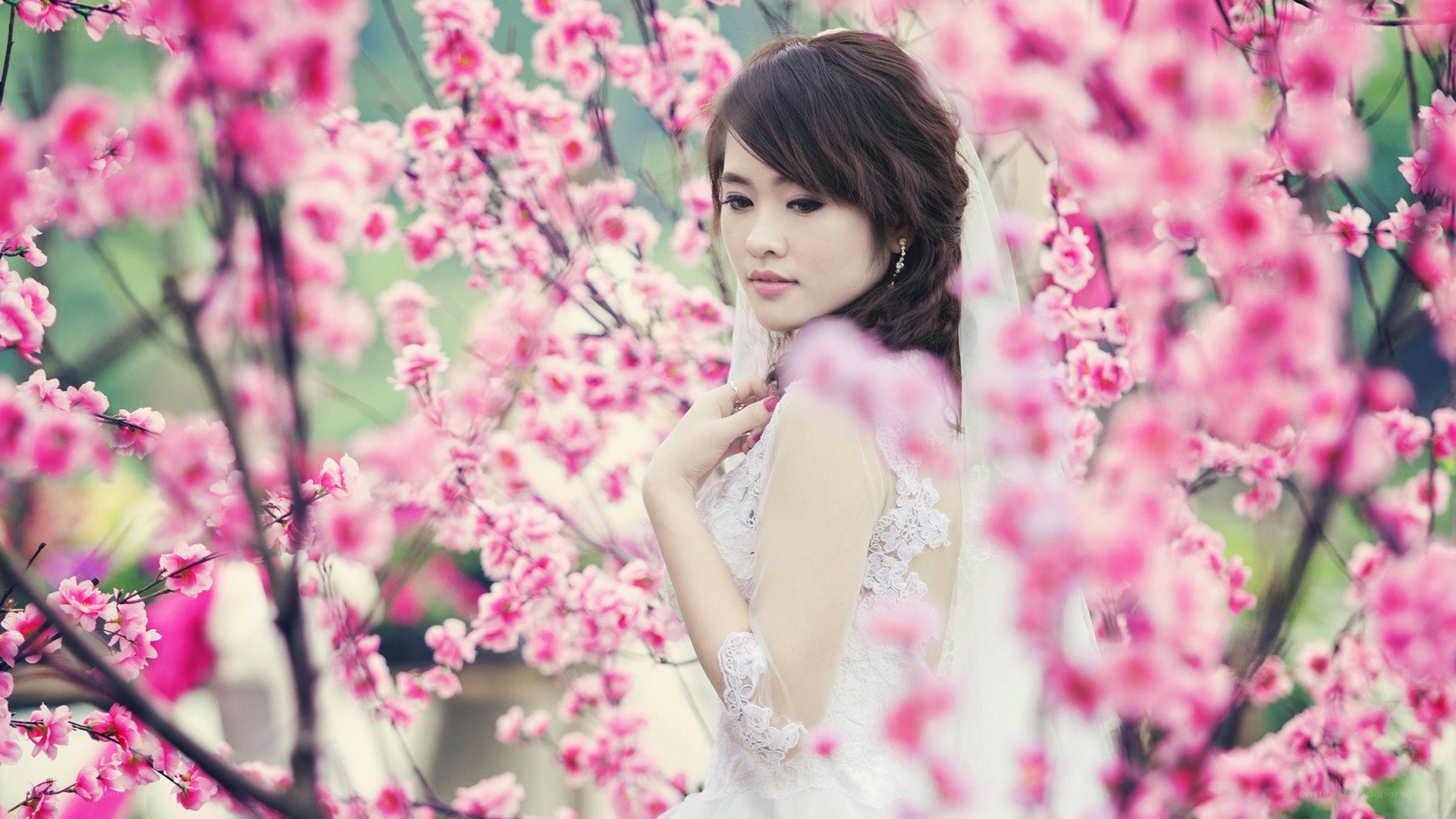 Bride among pink blossoms