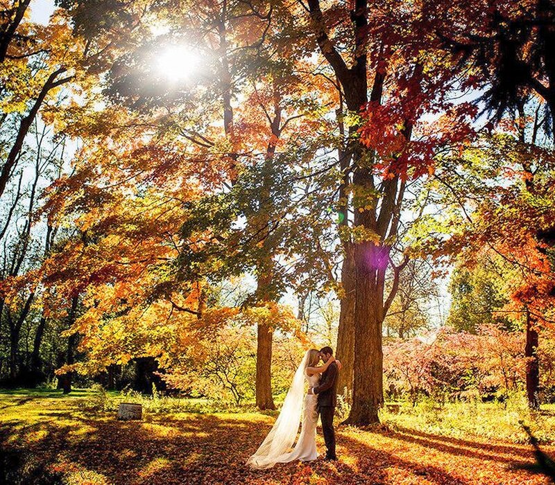 Bride and Groom Embracing — Orange