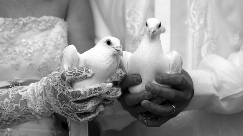 Bride and groom holding doves