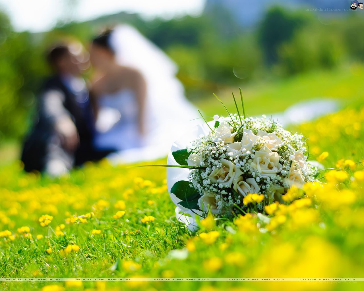 Bride and groom in a field