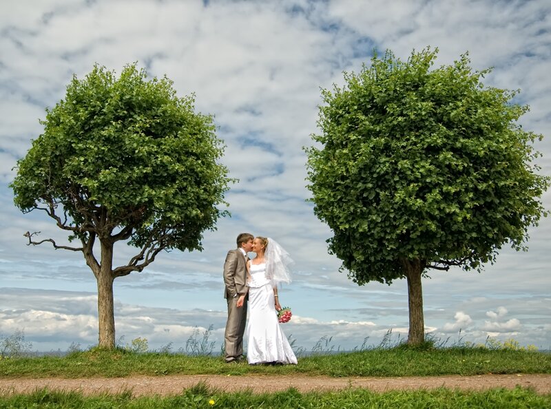 Bride and Groom Kissing — Green