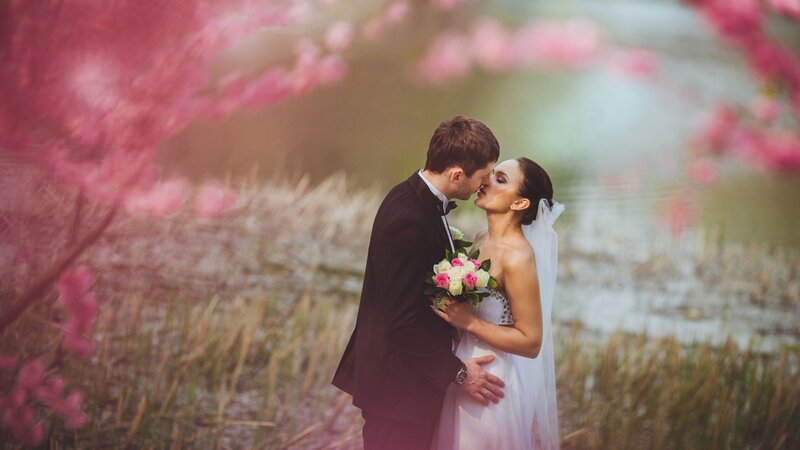Bride and Groom Kissing — Pink, Romantic