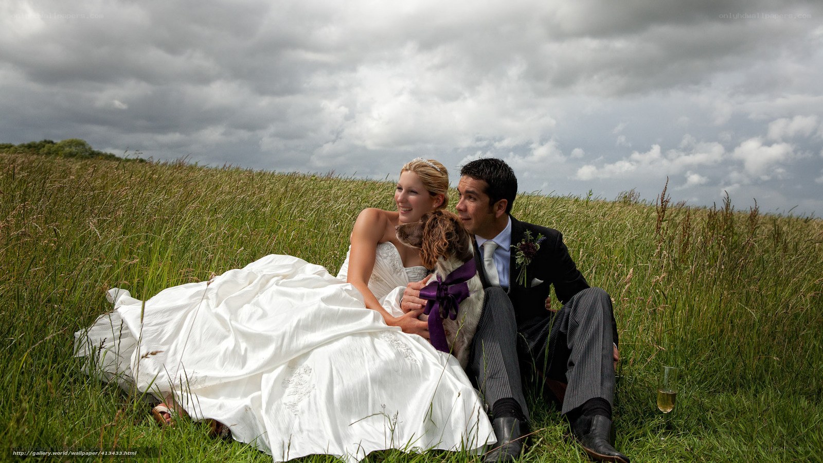 Bride and groom with dog in field