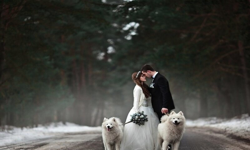 Bride and Groom with Dogs