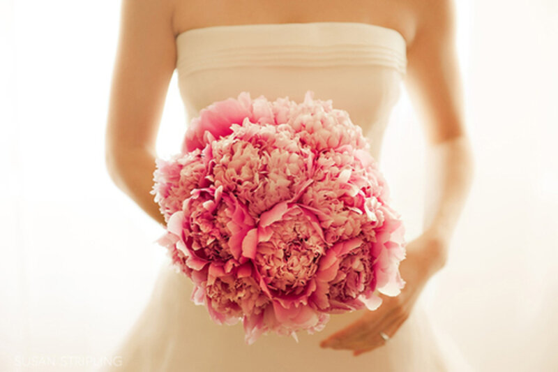Bride Holding Bouquet — Pink, Serene, Photograph
