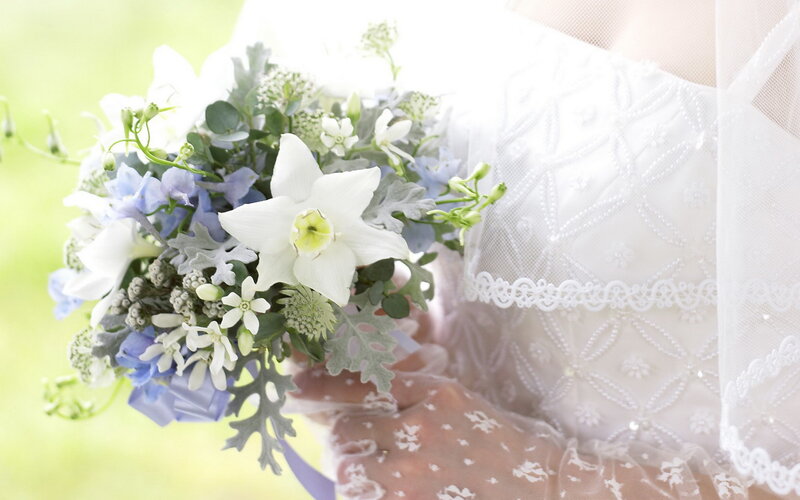 Bride Holding Bouquet — White, Serene, Spring, Photograph