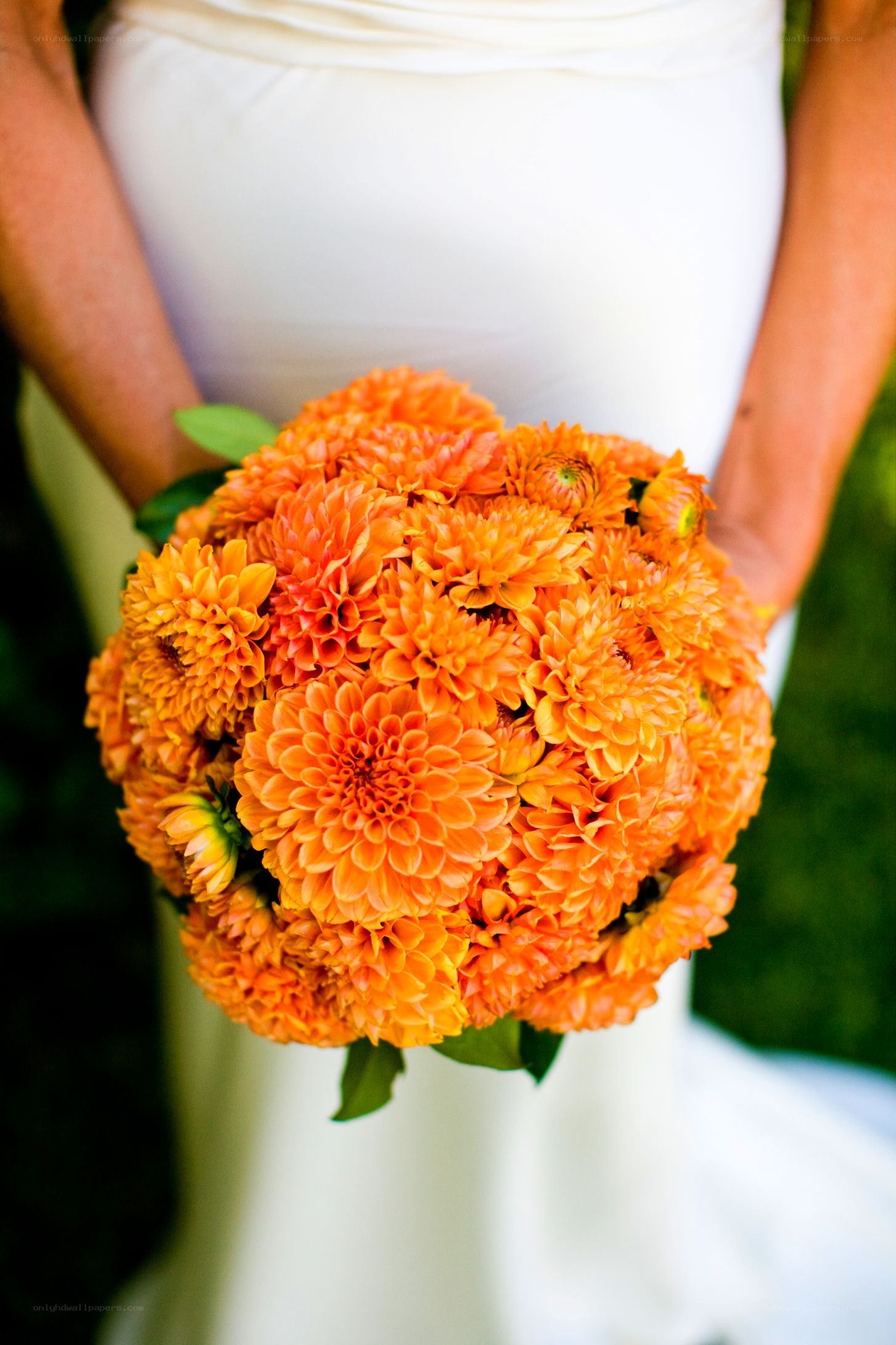 Bride holding orange bouquet