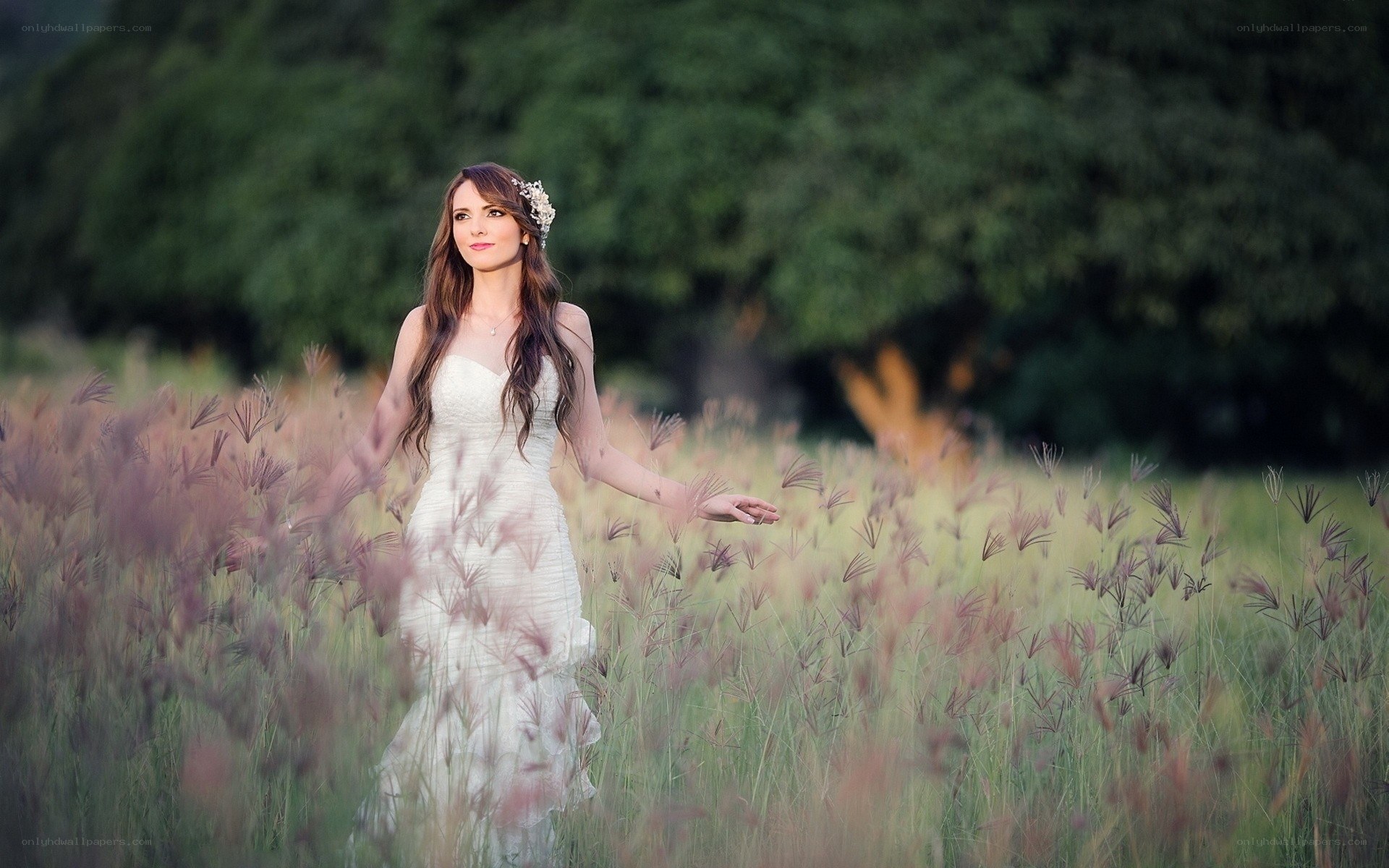 Bride in a field of grass
