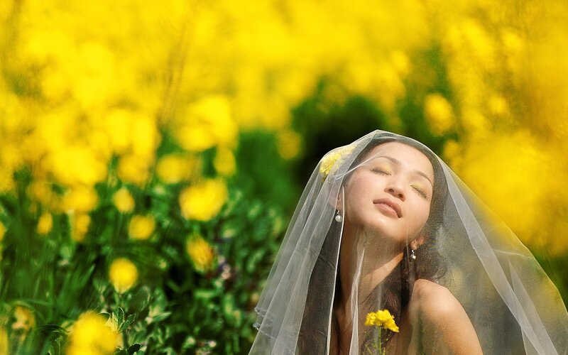 Bride in a field of yellow flowers