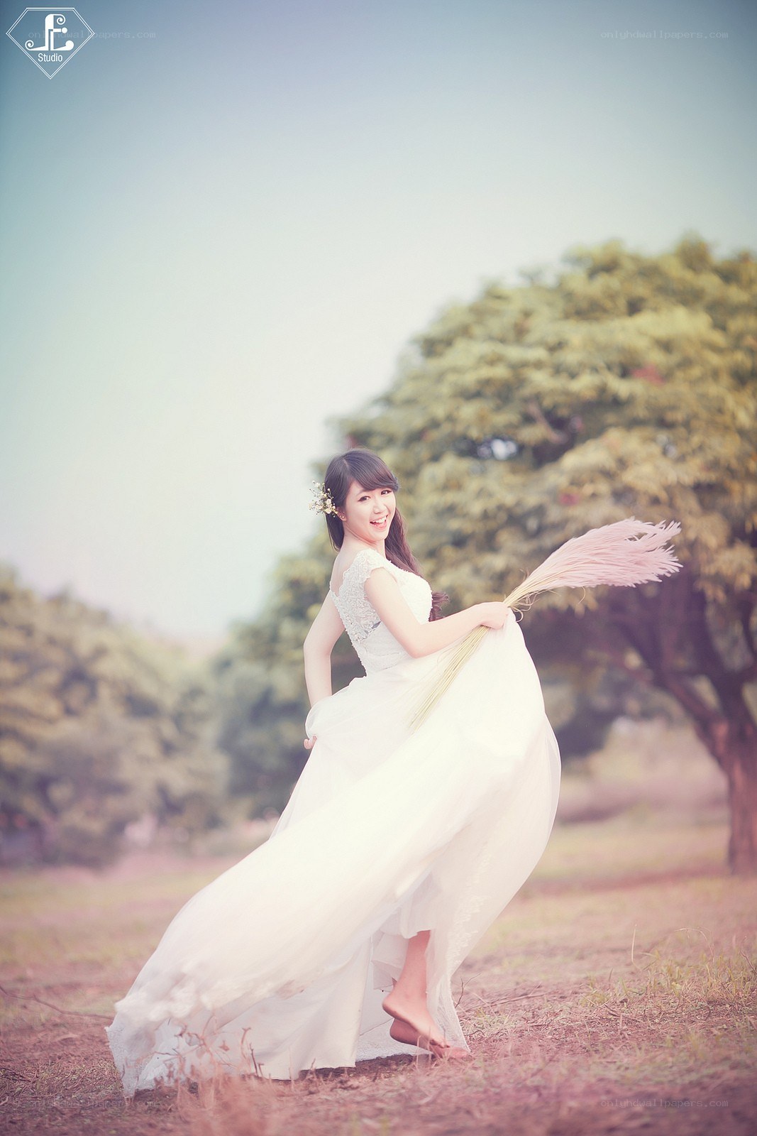 Bride in a field with pampas grass