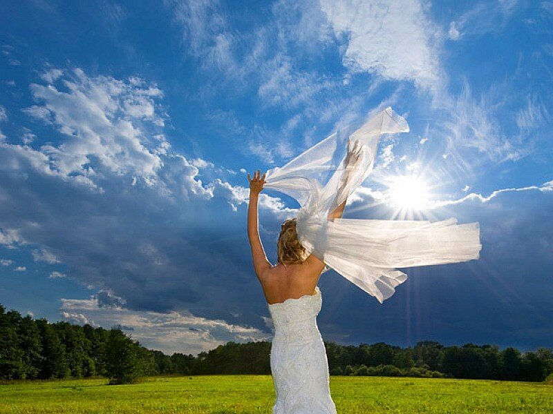 Bride in a field with veil
