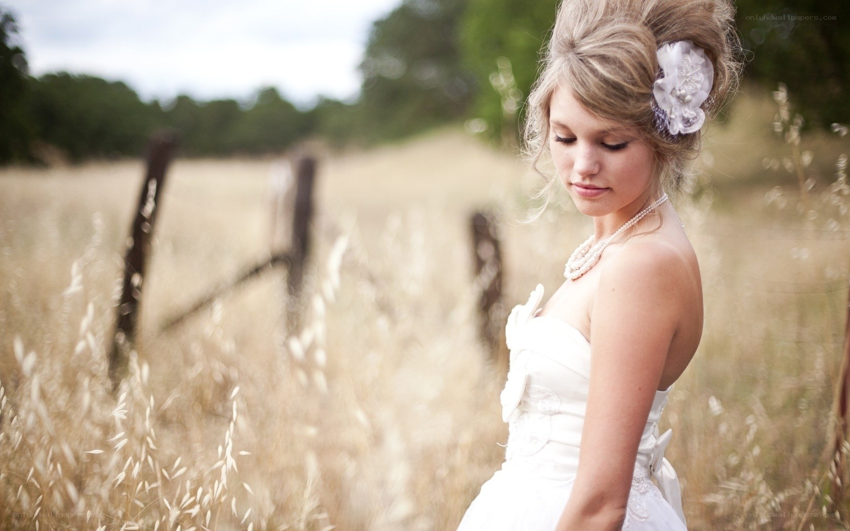 Bride in a field