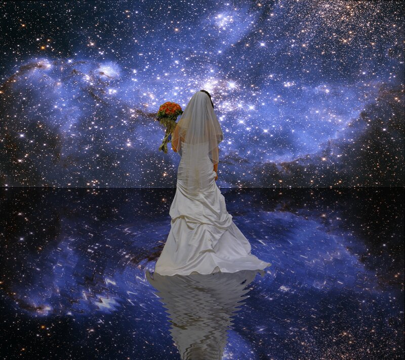 Bride in a starry night