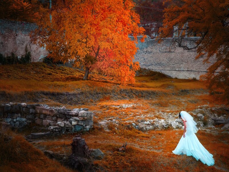 Bride in Autumn Field