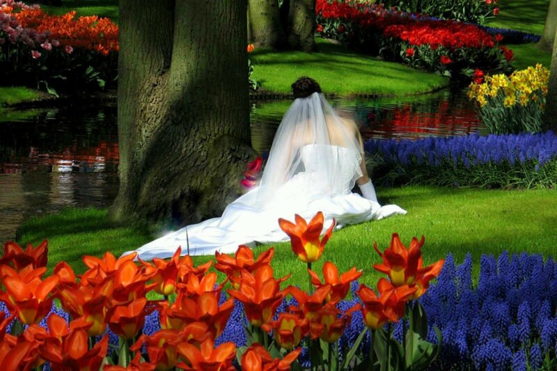 Bride in Garden