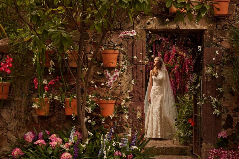 Bride in Garden — White, Serene, Afternoon