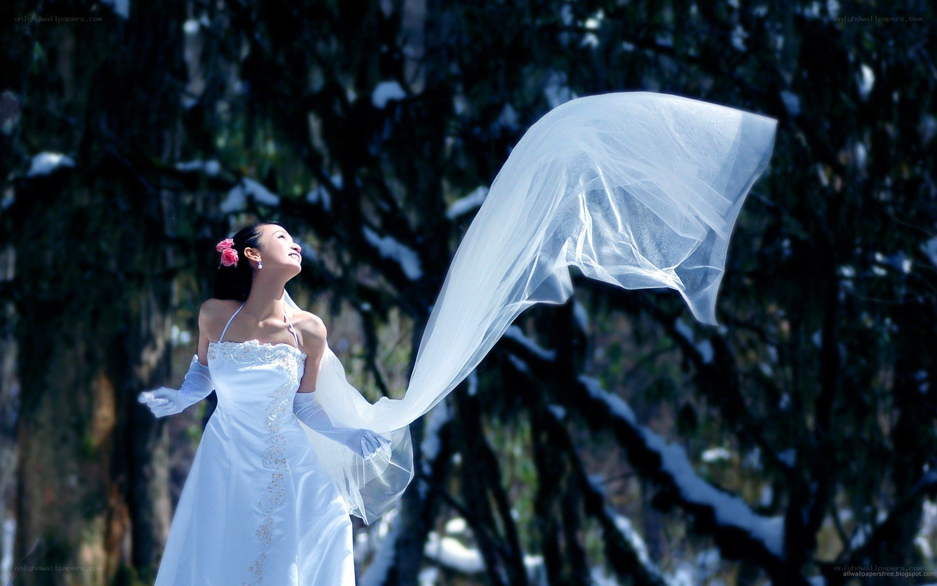 Bride in snowy forest