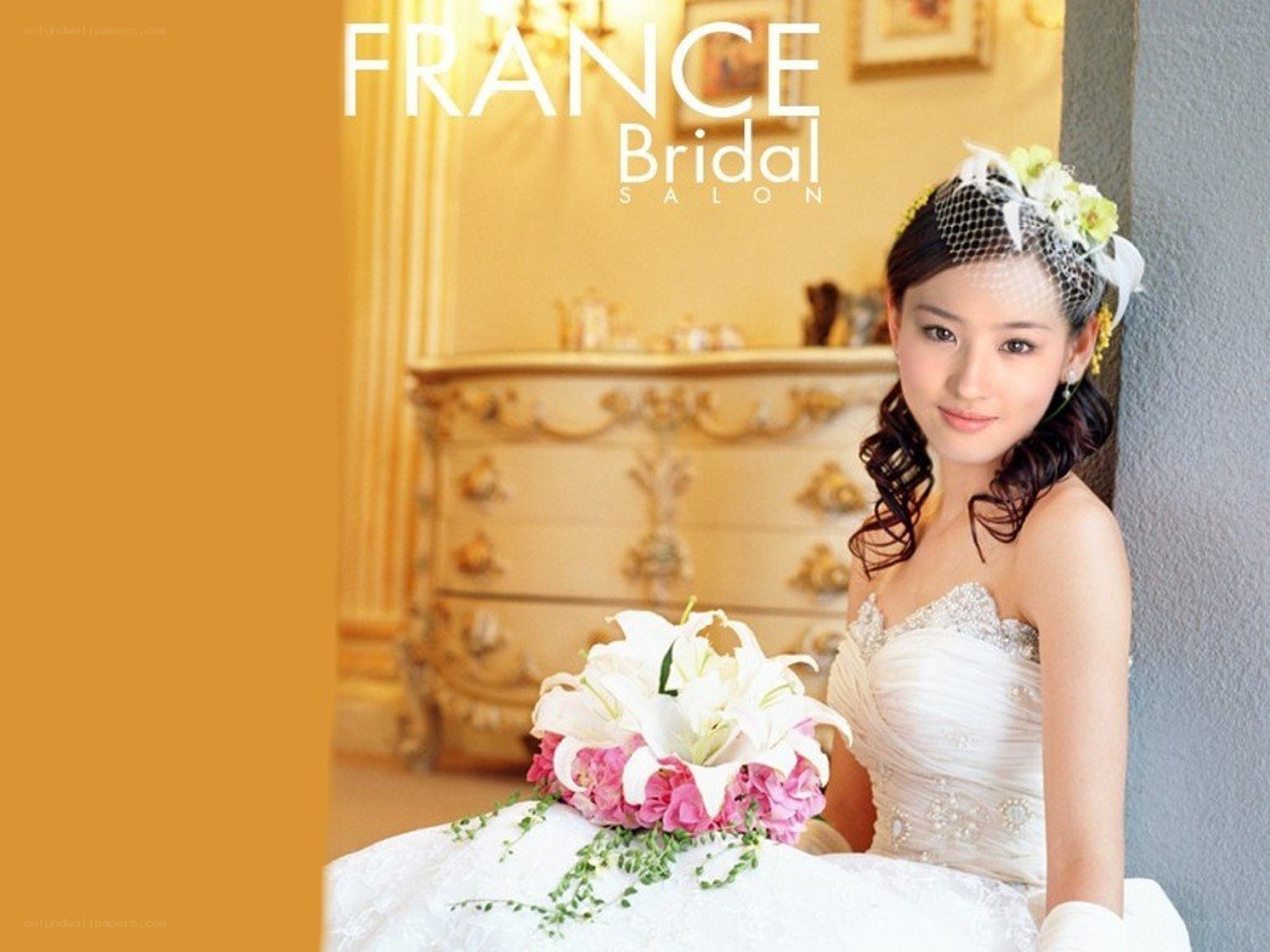 Bride in wedding dress