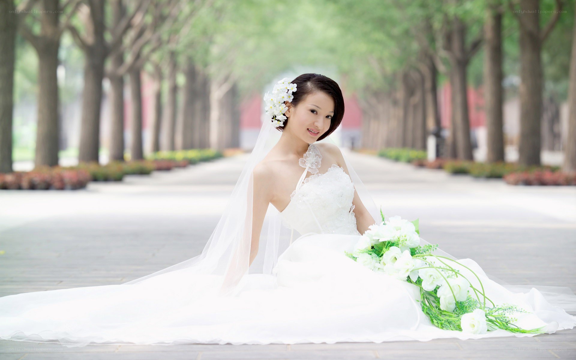 Bride in white wedding dress