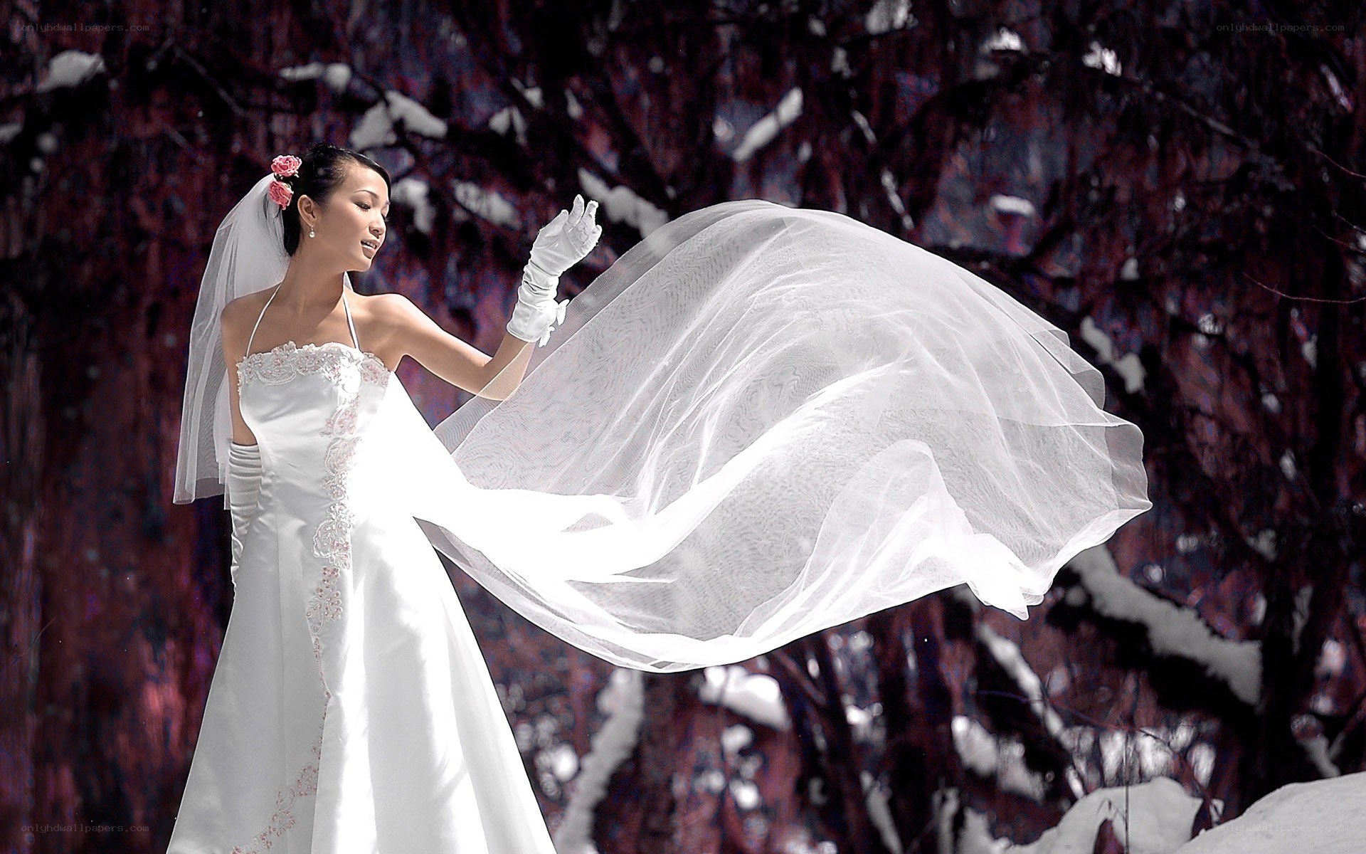 Bride in winter landscape