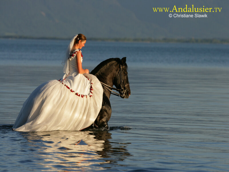 Bride on a Horse