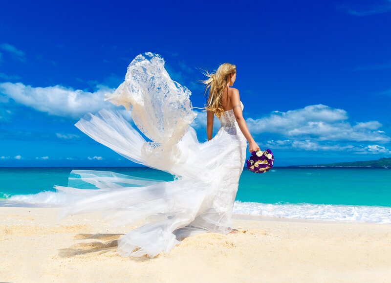 Bride on Beach — Blue