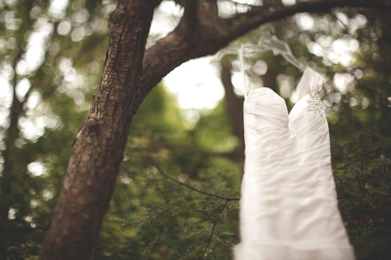 Bride's dress hanging in a tree